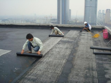 Chống thấm dột giá rẻ