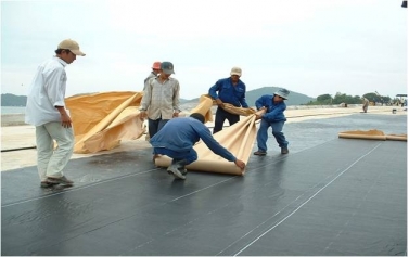 Chống thấm tại quận Đống Đa